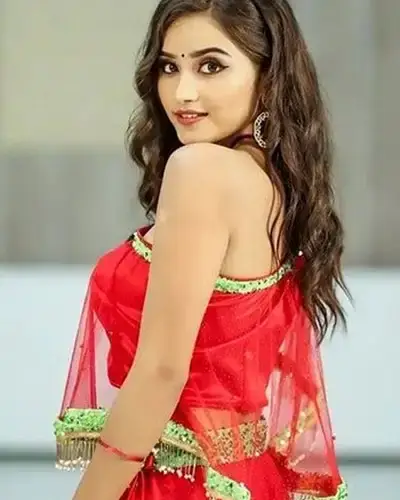 Call Girls Service Dilsukhnagar